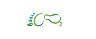 Carbondigit Logo